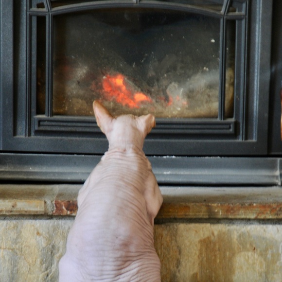 Meet your Posher, - Picture 11 of 16